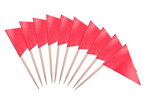 stidsds Solid Pink Cupcake Toppers Flags Mini Small Plain Pink Triangle Toothpick Stick Flag Blank DIY Color Decoration(100 pcs)