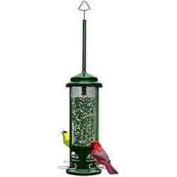 1 of Squirrel Buster Legacy Squirrel-Proof Bird Feeder for Wild Birds – 4 Metal Removable Perches, 2.6 lb Seed Capacity, Chew-Proof Design, Easy to Clean, Green