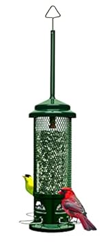 eliminator squirrel proof bird feeder that will change your backyard experience 2 eliminator squirrel proof bird feeder