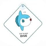 comment reconnaitre un poisson molly enceinte Décorations pour la fenêtre de votre voiture, la fenêtre de votre chambre ou tout autre endroit où vous pouvez coller la ventouse. Matériau : PVC