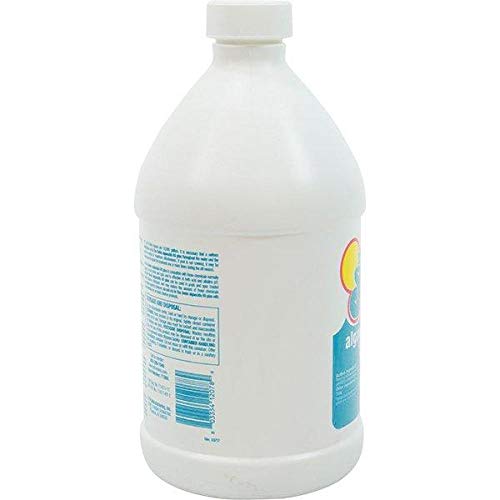 Image of In The Swim Algaecide 60 Plus for Swimming Pools - 1 Gallon