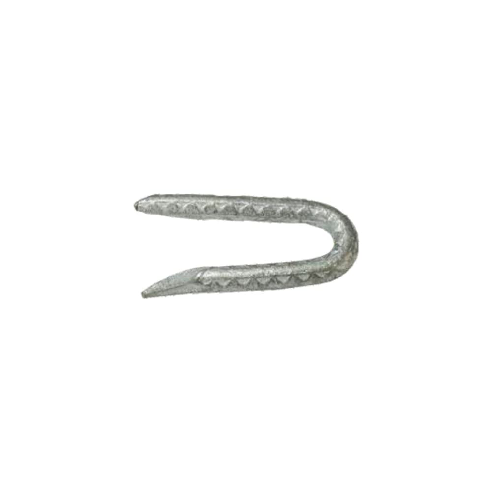 Grip-Rite 1-1/2 in. L Galvanized Steel Fence Staples 1 lb. - Case of: 12;12