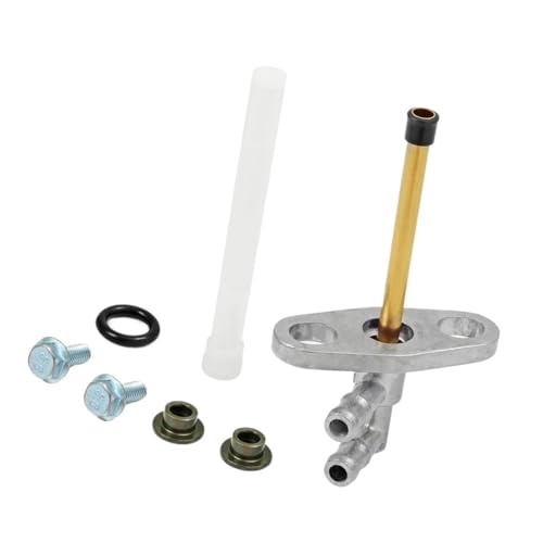 Filtro de llave de purga para solucionar tirones en tu FourTrax 250 2