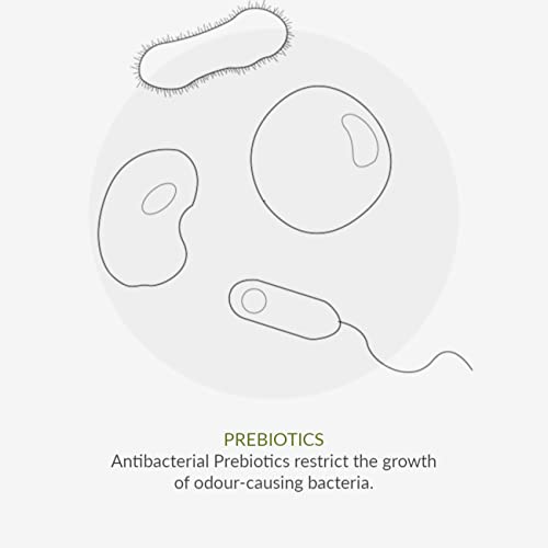 Green People for Men No.8 Thyme & Prebiotics Deodorant 75ml | Effective Natural & Organic Men’s Deodorant | Herbal Scented Deodorant for Men| Paraben Free & Ethanol Free | Cruelty Free & Vegan - Image 8