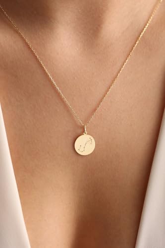 Collar de Escorpio plata de ley 925 cadena 45mm medalla constelación 4
