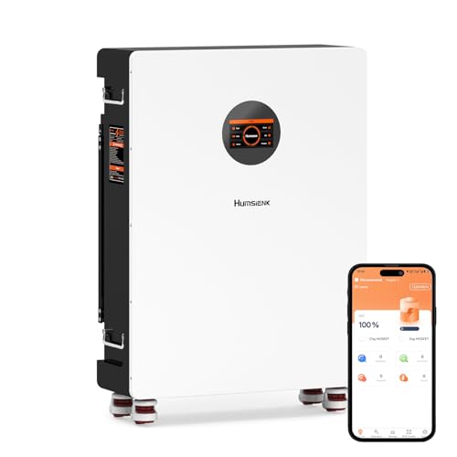 Humsienk Batteria LiFePO4 48V 314Ah, Batteria accumulo fotovoltaico 16.07KWH con integrata 200A BMS e display LCD,8000+ cicli, Accumulo di energia a parete per sistema solare,fotovoltaico,off-grid