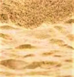 See full amazon price history chart for Nature World Premium Organic Natural River Sand for Child Birds Plants Decoration Pack of 4 Kg Nature World Premium Organic Natural River Sand for Child Birds Plants Decoration Pack of 4 Kg (B0BLKF1D9W) Amazon Price History, Amazon Price Tracker