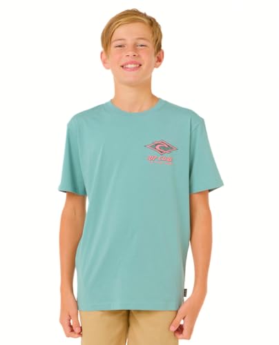 Rip Curl Boys' Raw Energy Dolphin Short Sleeve T-Shirt