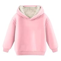 Boys Girls Sherpa Lined Hoodie Pullover Youth Fleece Hooded Sweatshirt Kid's Warm Fuzzy Thicken (Pink, 4-5 Years)