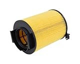 Coopersfiaam Filters FL9073 Air Filter