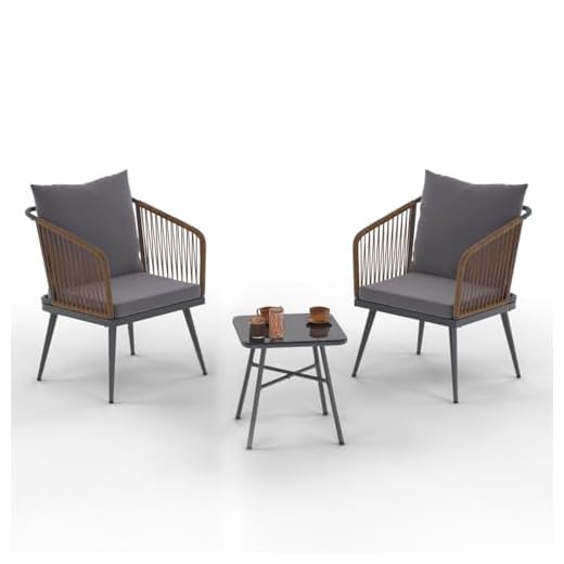 IDMarket - Salon de Jardin Bas Arizona 2 Places en métal Gris et Cordage rotin foncé