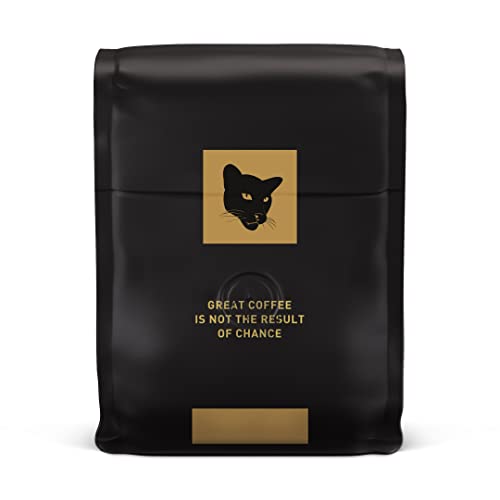 Intelligentsia Coffee, Medium Roast Whole Bean Coffee - Black Cat Espresso 12 Ounce Bag with Flavor Notes of Stone Fruit, Dark Sugars and Dark Chocolate, Packaging May Vary