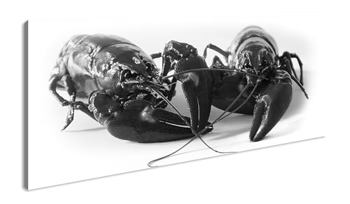 schwedische rote Krebse Panorama 100x50 cm Effekt:Schwarz/Weiss als Leinwandbild, Motiv fertig gerahmt auf Echtholzrahmen, Hochwertiger Digitaldruck mit Rahmen