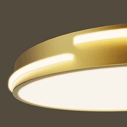 Plafonnier à trois températures de couleur LED avec diffuseur moderne de 50cm - 6