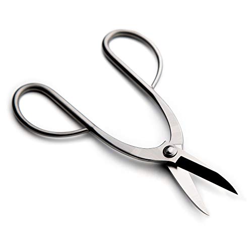 Tianbonsai BEG-0383 Beginner Bonsai Tools Top Pruning Scissors 200 Mm (7.5") Stainless Steel Standard Quality thumb #2