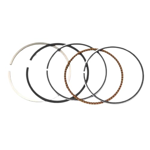 �s�X�g���ƃs�X�g�������O�L�b�g STD Plus 100 �V�����_�[�{�A�T�C�Y 73 �~�����[�g������ 74 �~�����[�g�� TTR250 TT250R TTR 250 1999 ��??�� 2006 �ƌ݊�������(73mm Ring)