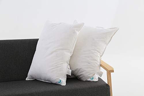Set of 2,White Goose Down and Feather Bed Pillow Insert Willow,100% Organic Cotton Cover, Anti-Allergy,Hypoallergenic,Medium Firm and Soft Support,20x26inches