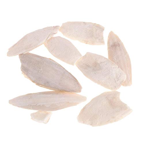 Zonster 1 Bag Cuttlebone Tintenfisch Sepia Knochen Tuppoly Fish Bird Food Calcium Pickstone Papagei Vögel Zähne Schleiftraining