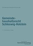 Gemeindehaushaltsrecht Schleswig-Holstein (Kommunale Schriften für Schleswig-Holstein)