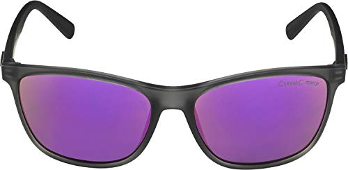 Alpina Unisex Sonnenbrille in Grau Transparent