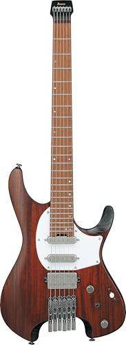 Ibanez(�A�C�o�j�[�Y) �G���L�M�^�[ Charcoal Brown Low Gloss Q54WR-CNL