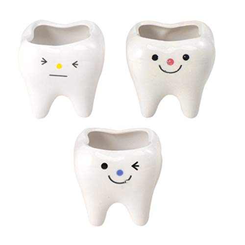 BESPORTBLE 3 Stücke Zähne Keramik Blumentopf Stiftbecher Stiftehalter Kleiner Sukkulenten Topf Deko Blumenvase Mini Übertopf Kaktus Pflanztopf für Büro Schreibtisch Organizer Wohnzimmer Tischdeko