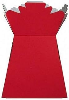 floral natalie 5 x Red Florist Aqua Living Vases-Hand Tie Boxes by Apac, Cardboard, 24.5x18x18 cm