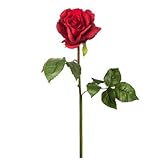  Rosa -Eterna Preservada- (Roja) Vibrant Red 50CM-6-6.5 DIAMETRO CABEZA ROSA