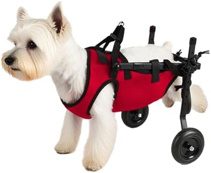 軽量小型犬用車いす 背中脚用 ペットカート 猫&犬 脚ブレース&ヒップサポート li Assiに最適 (レッド S)