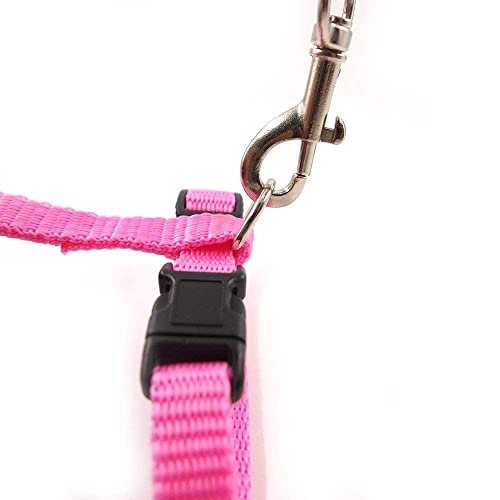 Image of Cat & Small Pet Nylon Strap Collar with Adjustable Walking Harness Leash Pet Walking for Kitten- Plain (Pink)