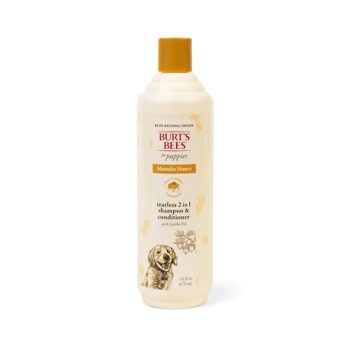 Burt’s Bees Manuka Honey Tearless 2 in 1 Shampoo and Conditioner ...