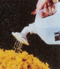 Gadjit Sprinkle Spout Daisy-Shaped Sprinkler Head - Snaps onto Most Plastic Gallon and Half-Gallon Jugs, Turning Them into Watering Cans (White & Yellow)