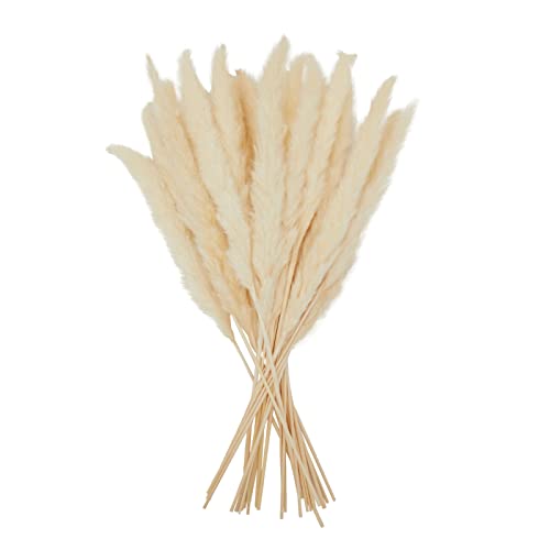 Juvale 30 Pack Dried White Pampas Grass for Vase, Wedding, Rustic-Style Farmhouse Decor, Boho-Themed Home Decor (17 in)