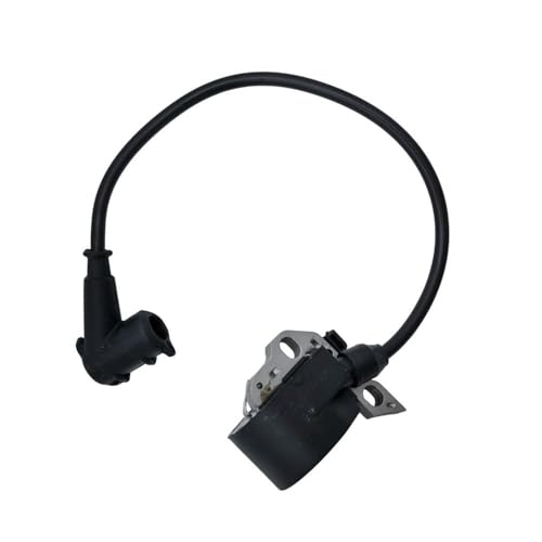 Bobine d'allumage pour entretenir votre bois avec tronçonneuse 015