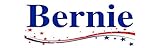 HZ Graphics Magnet Bernie Sanders for President 2016 Elections Vinyl Magnetic Car Bumper Magnet Sticker 5'
