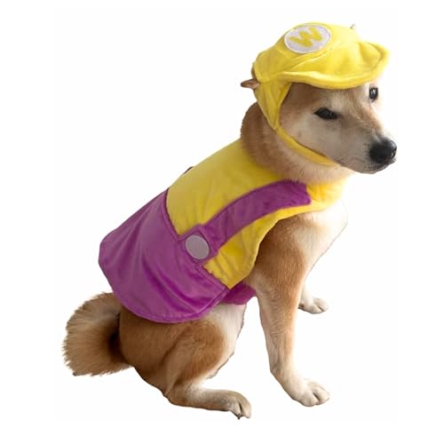 ComfyCamper Sombrero amarillo y morado y tirantes para perros, talla XXS, XS, XXL, disfraz de Halloween, talla XL