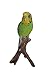 Hi-Line Gift Ltd Budgie on Branch Statue,Green
