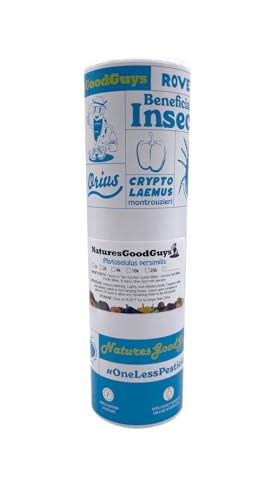 20,000 Live Adult Predatory Mites - P. persimilis - Ships Next Business Day!