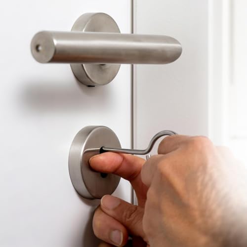 2 Stück Dietrich schlüssel，Profi Buntbartschlüssel Universal, Für Bunt-Bart-Schloss Öffner ，Werkzeug Ditrichsett aus Edelstahlmaterial (silbrig)