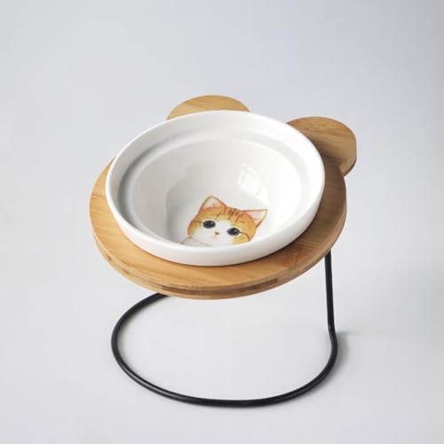 Vlwm rLH LюM Lt[h{E 퐻 O\ ؐX^ht X[hbOΉ Lbg{E ݎM px\ 񌨕Sy (FL,VO{E)