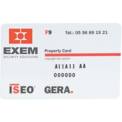 Cilindro 2 entradas EXEM R9+ niquelado variado