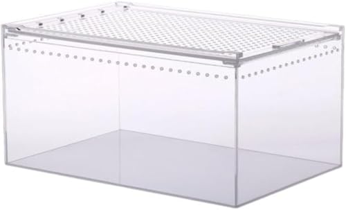 AN v^C{bNX ঒ P[X   P[X v^C{bNX Ch Ip P[W ޒʋChWXCha T\ANAJGAJAQbRAJ}LAwrANuȂǂ̃e E^Nɉa