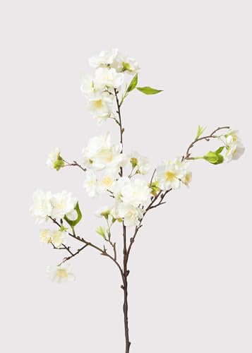 Afloral Faux Flowers Life Like Artificial Flower Cherry Blossoms for Home Decor Arrangements and Tall Vases | Premium Artificial Flowers | Tall Realistic Fake Flower Branches (1 Cream 18)