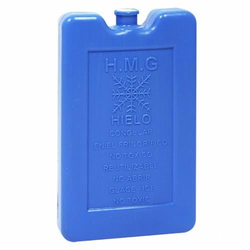 Accumulateur de froid BigBuy Home multicolore standard pour glacière