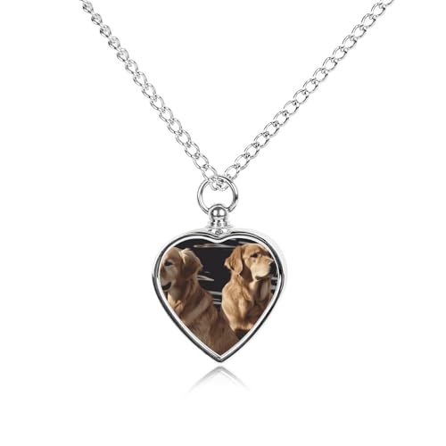 Collier urne Las Vegas cœur pour cendres, accompagnez chaque moment de vie avec votre chien disparu
