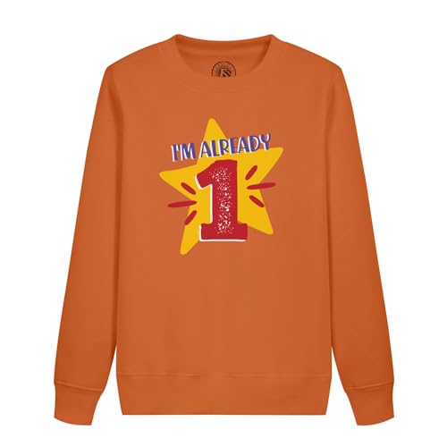 Sweatshirt Enfant confortable qui résiste aux taches pendant le goûter d'anniversaire