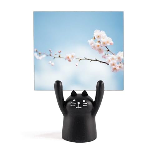 ~̉Ԃ̐̉_ J[gD[LX^h^z_[