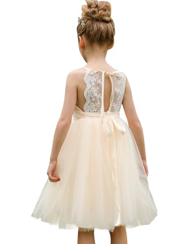 Abaowedding Lace Back Flower Girl Dress Kids Summer Wedding Birthday Hoilday Tea Party Dress