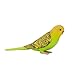 MOJO Green Budgerigar (Australian Parakeet) Realistic International Wildlife Toy Replica Hand Painted Figurine Small