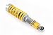 Ohlins - POZ MI00S1 - OHL Coilover - Road & Track